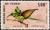 Colnect-894-276-Little-Green-Bee-eater-Merops-orientalis.jpg