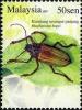 Colnect-1446-518-Longhorn-Beetle-Rhaphipodus-hopei.jpg