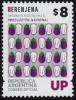 Colnect-4055-696-Berenjena-aubergine---Solanum-melongena.jpg