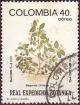 Colnect-3504-877-Begonia-urticae.jpg