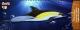Colnect-3706-347-Short-beaked-common-dolphin.jpg