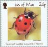 Colnect-125-369-Seven-Spot-Ladybird-Coccinella-septempunctata.jpg