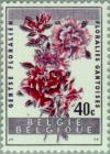 Colnect-184-404-Flowers-Exhibition-Gent---Indian-Azalea.jpg