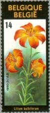 Colnect-186-530-Flowers-Exhibition---Lillium-bulbiferum.jpg