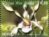 Colnect-2061-065-Dendrobium-mussauense-P-Ormd.jpg