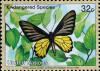 Colnect-2336-465-Golden-Birdwing-Troides-Aeacus.jpg