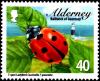 Colnect-4424-025-Seven-Spot-Ladybird-Coccinella-septempunctata-.jpg
