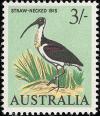 Colnect-604-072-Straw-necked-Ibis-Threskiornis-spinicollis.jpg