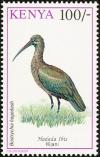 Colnect-753-981-Hadada-Ibis-Bostrychia-hagedash.jpg