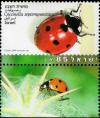 Colnect-780-828-Seven-Spot-Ladybird-Coccinella-septempunctata.jpg