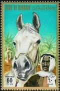 Colnect-1462-454-Bedouin-with-Arabian-Horse-Equus-ferus-caballus.jpg