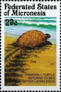 Colnect-5576-509-Hawksbill-turtle-on-beach.jpg