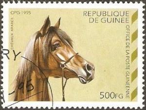 Colnect-2142-488-Light-Brown-Arabian-Horse-Equus-ferus-caballus.jpg
