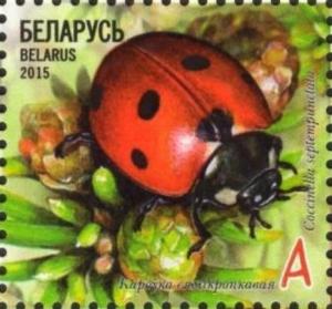 Colnect-2861-517-Seven-spot-Ladybird-Coccinella-septempunctata.jpg