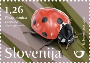 Colnect-4376-880-Seven-spot-ladybird-Coccinella-septempunctata.jpg