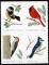 Colnect-5285-543-Birds-of-Winter.jpg