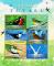 Colnect-4021-332-Birds-of-Tuvalu.jpg