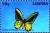 Colnect-4745-501-Common-Green-Birdwing-Ornithoptera-priamus.jpg