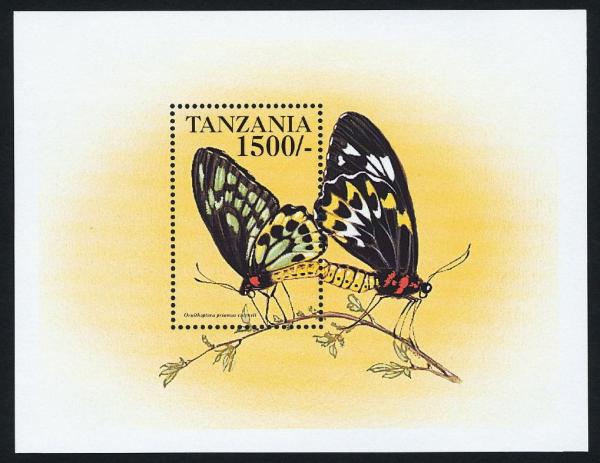 Colnect-2598-403-Common-Green-Birdwing-Ornithoptera-priamus.jpg