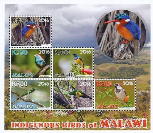 Colnect-3670-172-Birds-of-Malawi.jpg