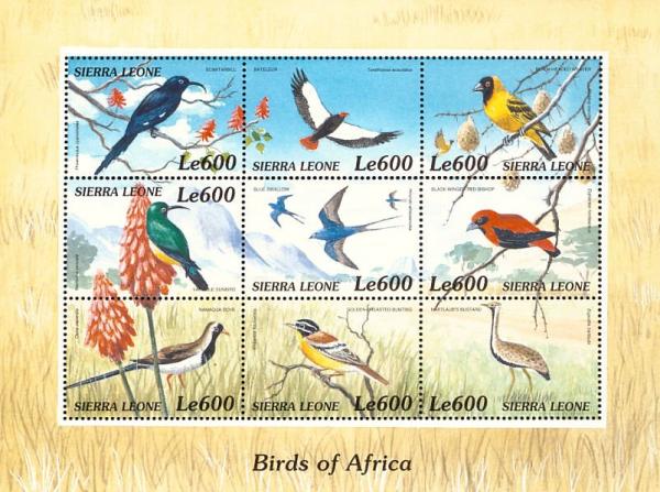 Colnect-3807-366-Birds-of-Africa.jpg