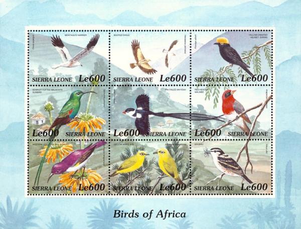Colnect-3807-386-Birds-of-Africa.jpg