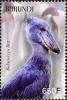 Colnect-1593-017-Shoebill-Balaeniceps-rex.jpg