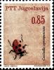 Colnect-5520-371-Seven-Spot-Ladybird-Coccinella-septempunctata.jpg