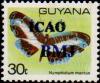 Colnect-4852-869-ICAO-BJM-on-30c-butterfly.jpg