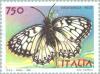 Colnect-179-939-Italian-Marbled-White-Melanargia-arge.jpg