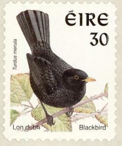 Colnect-1792-070-Common-Blackbird-Turdus-merula.jpg