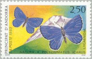 Colnect-142-150-Common-Blue-Polymmatus-icarus.jpg