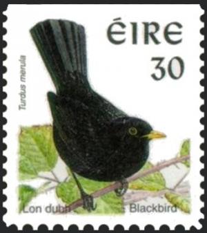 Colnect-1813-225-Common-Blackbird-Turdus-merula.jpg