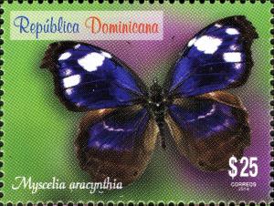 Colnect-3164-526-Hispaniolan-Bluewing-Myscelia-aracynthia.jpg