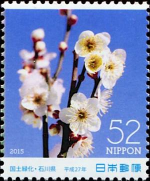 Colnect-5550-572-Plum-Blossoms-Prunus-mume.jpg