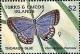 Colnect-4185-985-Miami-Blue-Hemiargus-thomasi.jpg