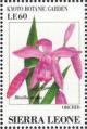 Colnect-4207-993-Bletilla-striata.jpg