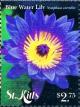 Colnect-6310-266-Blue-water-lily.jpg