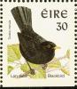 Colnect-1792-049-Common-Blackbird-Turdus-merula.jpg