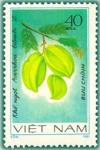 Colnect-1627-892-Carambola-averrhoa-Bilimbi.jpg