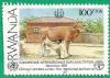 Colnect-3056-181-Cattle-Bos-primigenius-taurus.jpg
