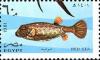 Colnect-3353-539-Whitespotted-Boxfish-Ostracion-meleagris-.jpg