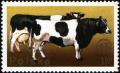 Colnect-2327-656-Cattle-Bos-primigenius-taurus.jpg