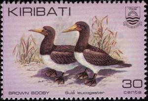Colnect-1095-836-Brown-Booby-Sula-leucogaster.jpg