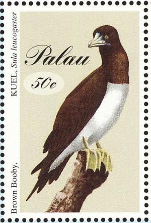 Colnect-1638-048-Brown-Booby-Sula-leucogaster.jpg