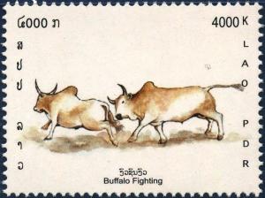 Colnect-2582-886-Buffalo-Bos-primigenius-indicus.jpg