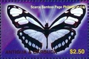 Colnect-3397-651-Scarce-Bamboo-Page-Philaethria-dido.jpg