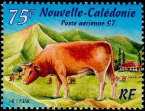 Colnect-864-122-Cattle-Bos-primigenius-taurus.jpg