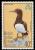 Colnect-1379-308-Brown-Booby-Sula-leucogaster.jpg