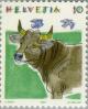 Colnect-141-084-Cattle-Bos-primigenius-taurus.jpg